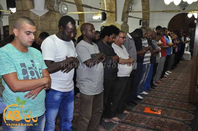 qader yaffa msajed (31).JPG